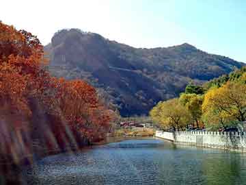 新澳天天开奖资料大全旅游团，当年探花